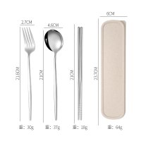 Silver 4-Piece Set (Spoon + Fork + Chopsticks + Case)